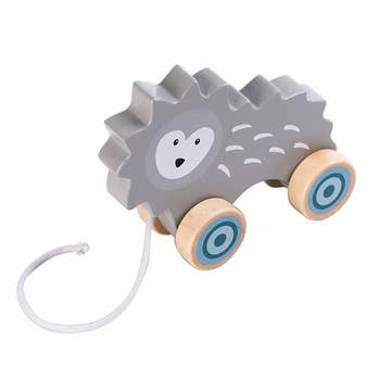 Hedgehog Pull Toy